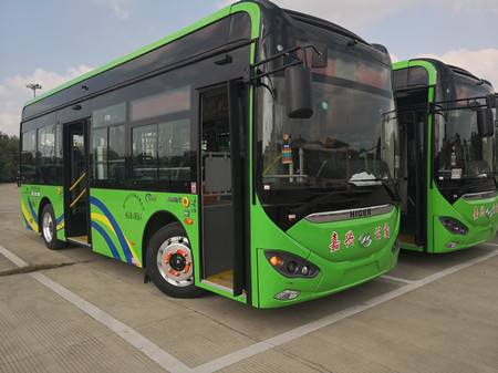 2020年445號(hào)信息2.jpg 2020年445號(hào)信息2.jpg