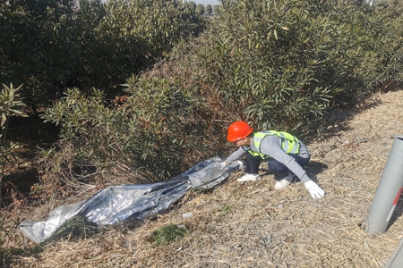 嘉通信息2021-14-3_集團(tuán).jpg 嘉通信息2021-14-3_集團(tuán).jpg