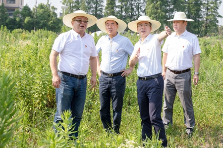 運河農(nóng)場_副本.jpg 運河農(nóng)場_副本.jpg