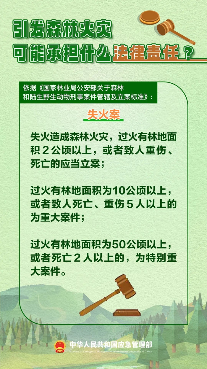 森林圖片3.jpg 森林圖片3.jpg